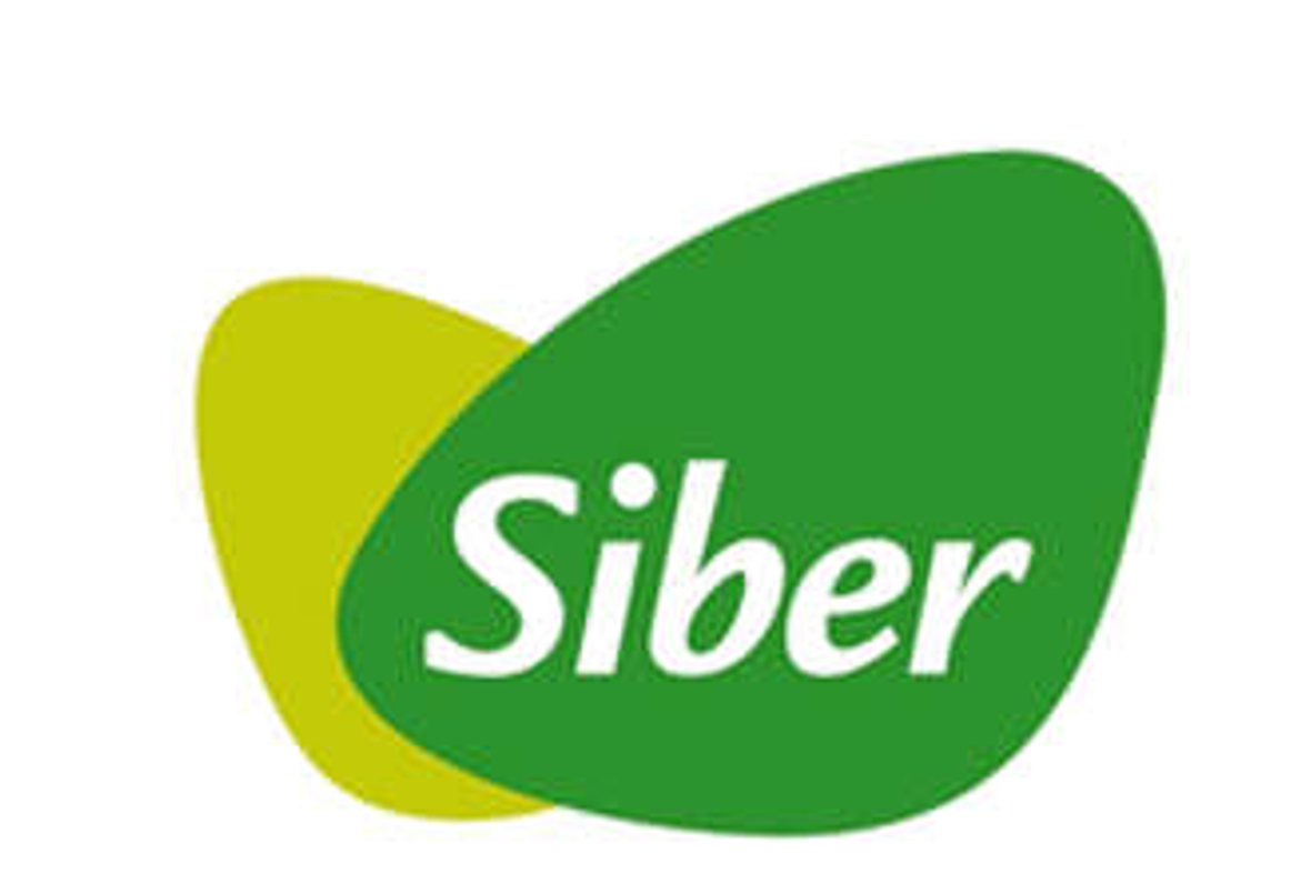 Siber Website