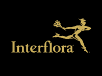 Interflora Brand Logo