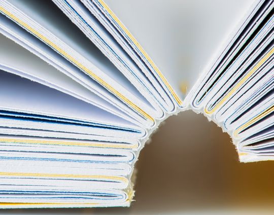 Adobestock 542232229 (1)