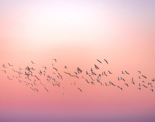 Adobestock 351459779