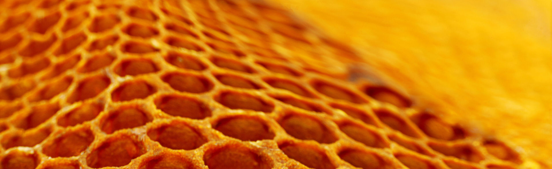 Honeycomb Image Real Estate
