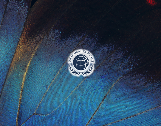 UN Global Compact LI (5)