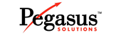 Pegasus Solutions