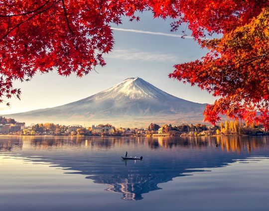Adobestock 256100731