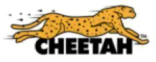 Cheetah