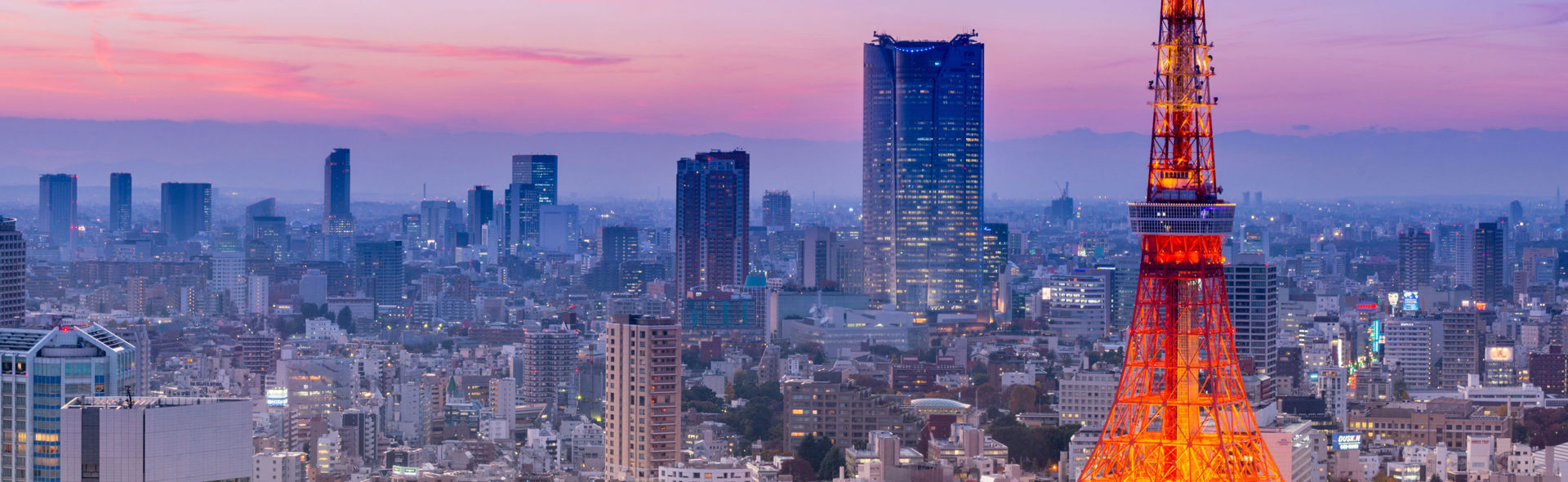 Tokyo Skyyline