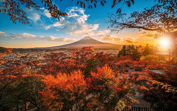 Adobestock 241971238