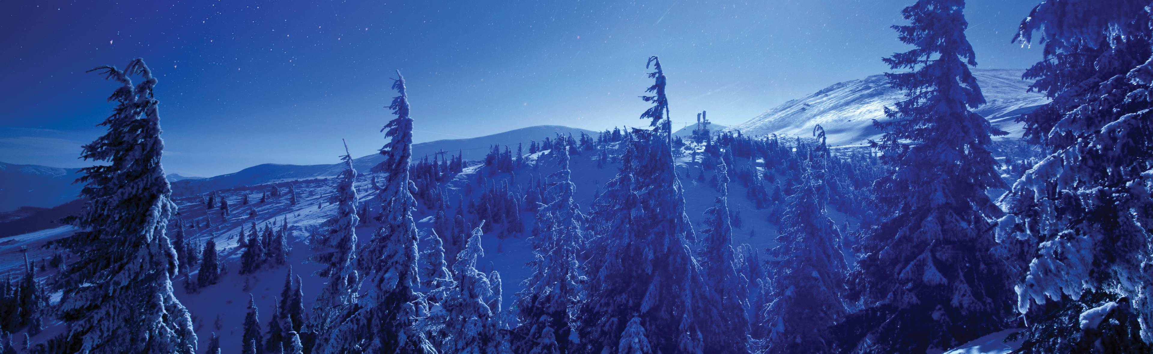 DC Advisory wishes you Season's Greetings 2022 Insights News, Deals