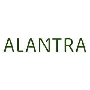 Alantra Website