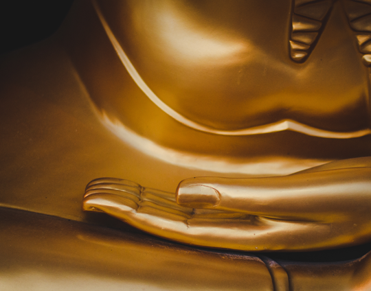 Website Image AAQ V4