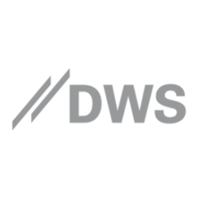 DWS 300 X 300