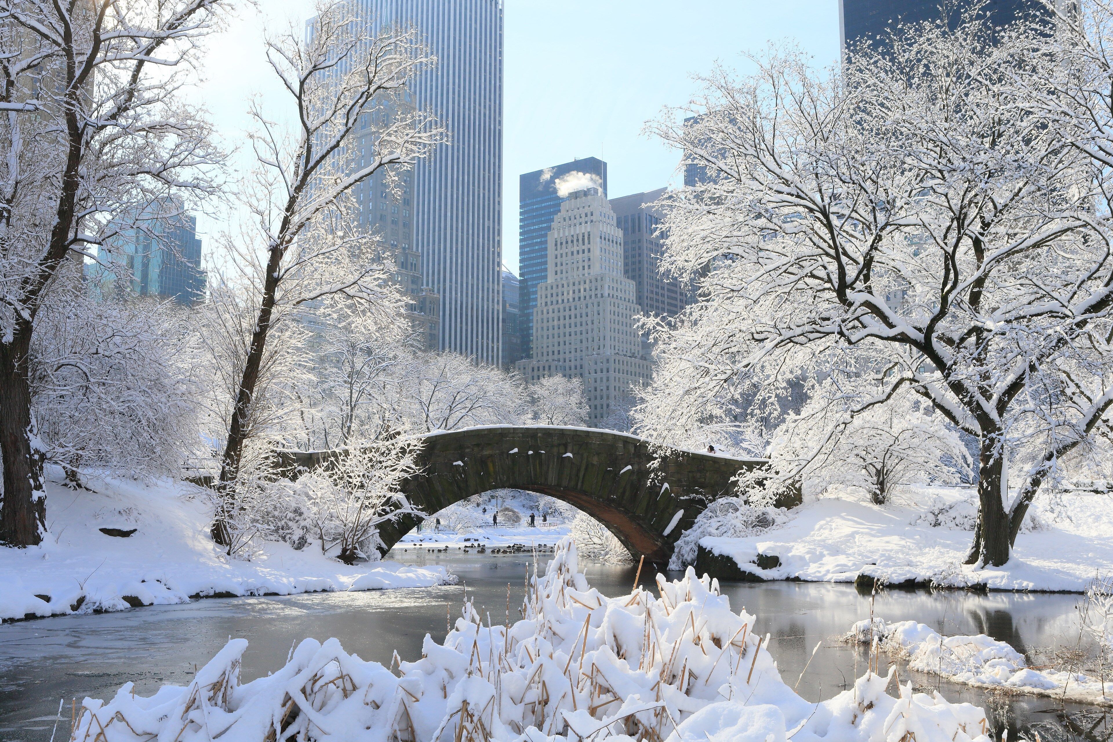 Infrastructure Winter Roundtable New York Events News, Deals