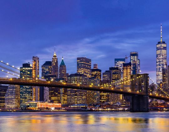 Brooklyn Bridge New York (1)