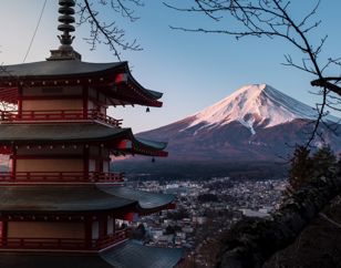 Adobestock 292632955