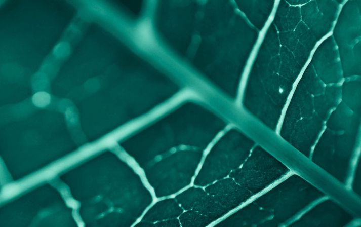 Adobestock 472408431