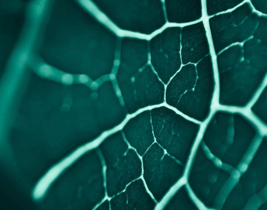 Adobestock 472408351