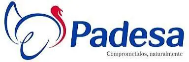 Padesa V2