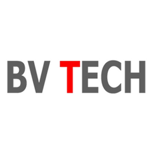 BV 300 X 300