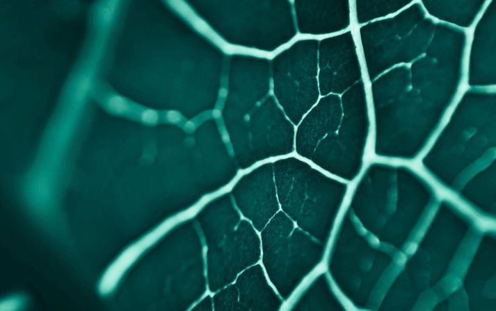 Adobestock 472408351