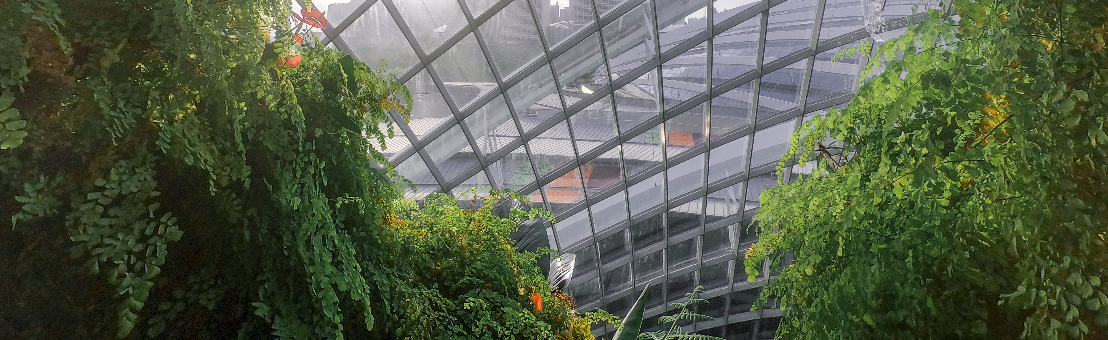 Asia Access Quarterly Q1 2021 Asian Cross Border M A Activity Insights Publications News Deals Insights Dc Advisory